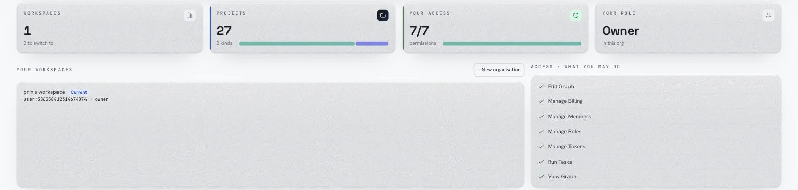 The organisation overview: workspace count, project count, the permissions this account holds, and its role.